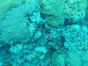 sm_AR-P9013748.JPG