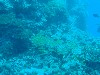 sm_AR-P9013760.JPG