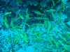 sm_AR-P9013766.JPG