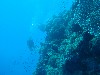 sm_AR-P9013772.JPG