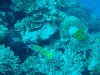sm_AR-P9013788.JPG