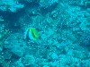 sm_AR-P9033992.JPG