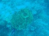 sm_P9013446.JPG