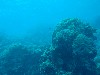 sm_P9013461.JPG
