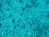 sm_P9013499.JPG