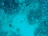 sm_P9013544.JPG