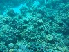 sm_P9013556.JPG