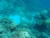 sm_P9013564.JPG