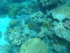 sm_P9013568.JPG