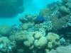 sm_P9013571.JPG