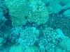 sm_P9013574.JPG