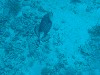 sm_P9013593.JPG