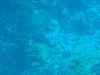 sm_P9013596.JPG