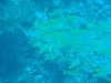 sm_P9013598.JPG