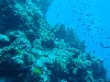 sm_P9013617.JPG