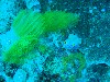sm_P9013633.JPG