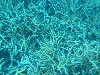sm_P9013675.JPG