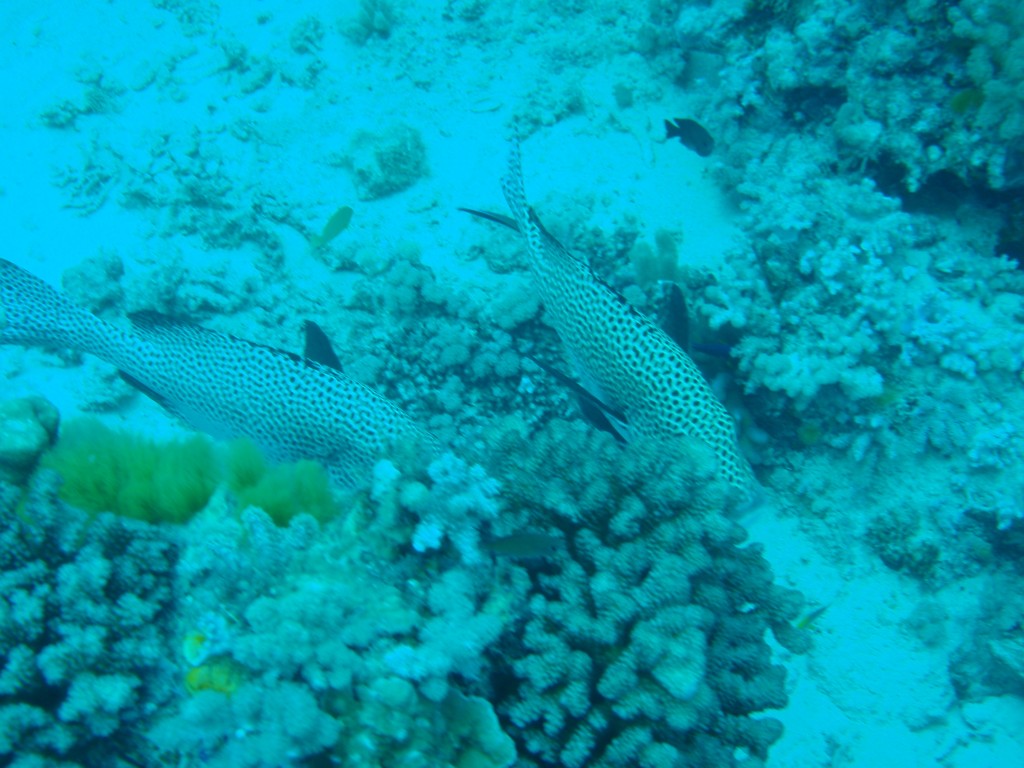 sm_AR-P9023809.JPG