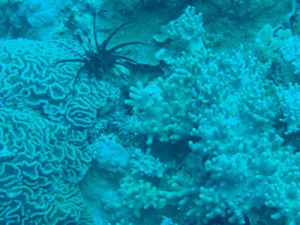 sm_AR-P9023812.JPG