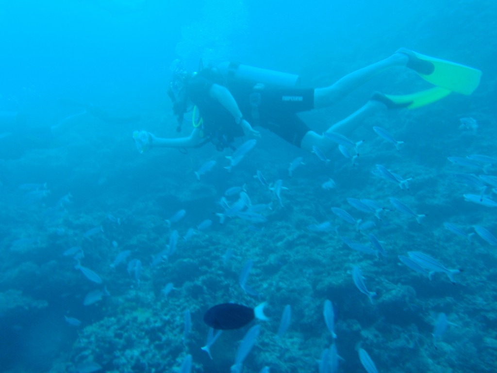 sm_AR-P9023826.JPG