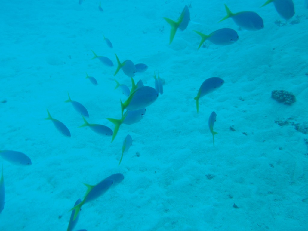 sm_AR-P9023831.JPG