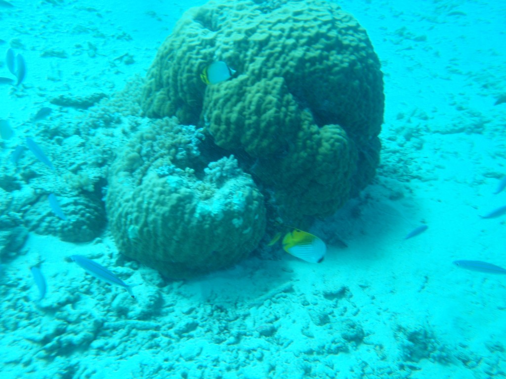 sm_AR-P9023855.JPG