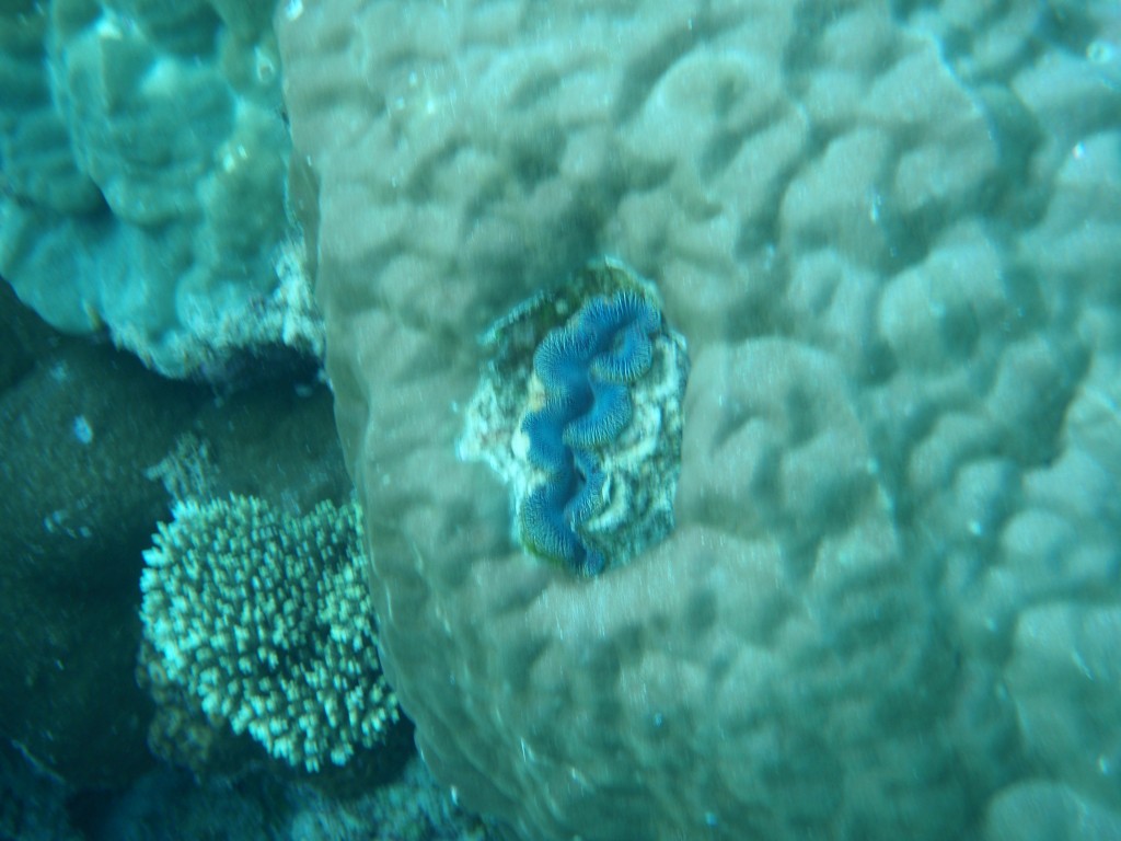 sm_AR-P9023877.JPG