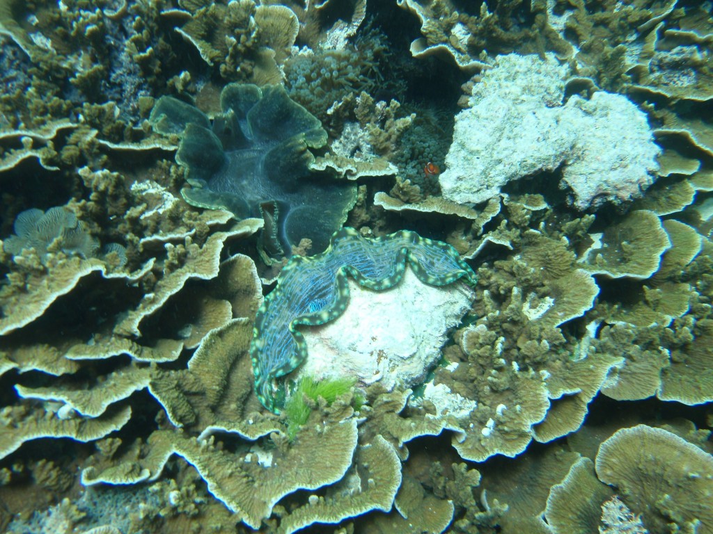 sm_AR-P9023886.JPG