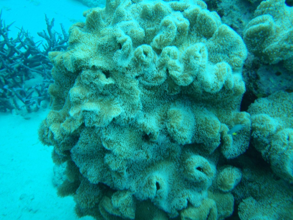 sm_AR-P9023940.JPG