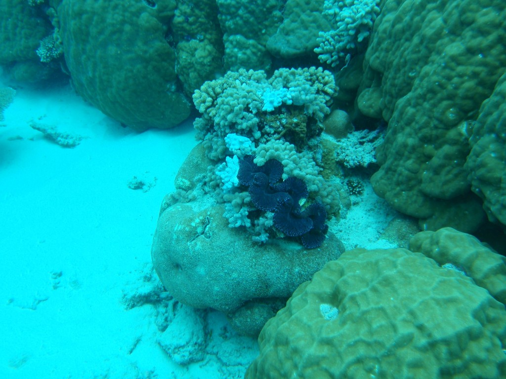 sm_AR-P9023944.JPG