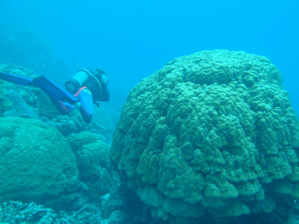 sm_AR-P9023945.JPG