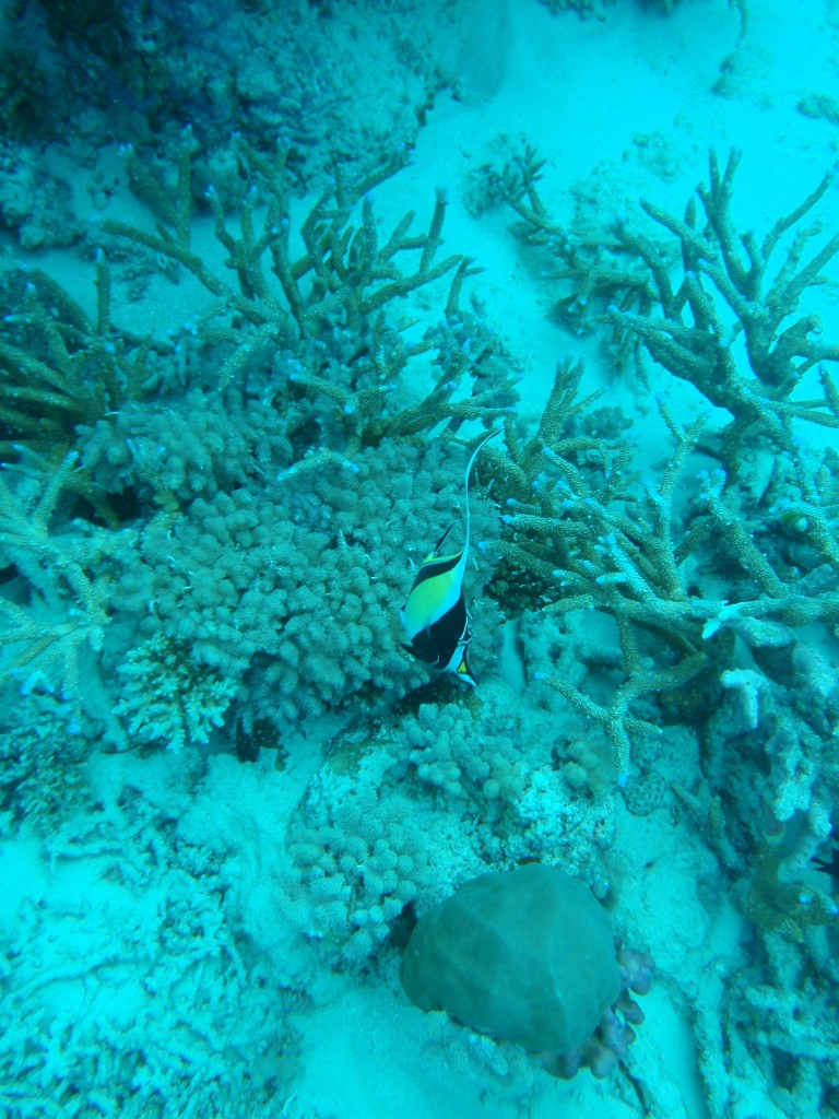 sm_AR-P9023961.JPG