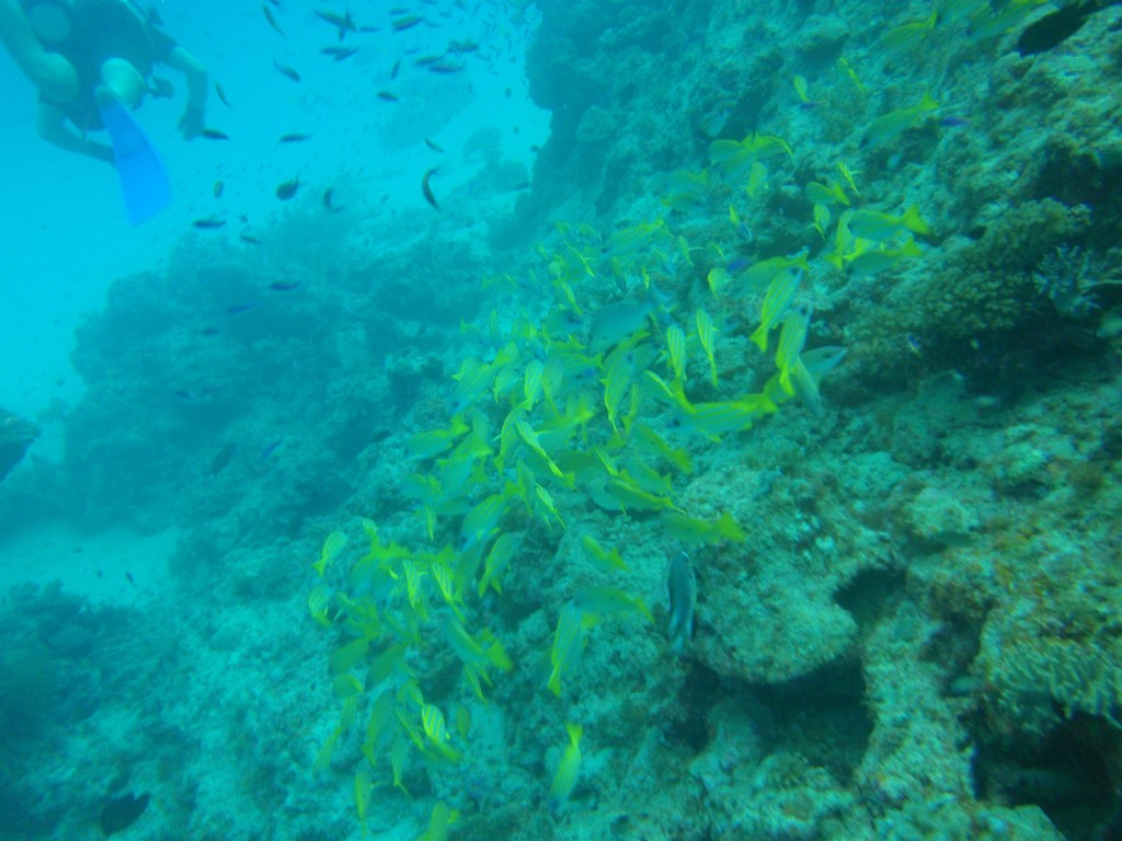 sm_P9023699.JPG