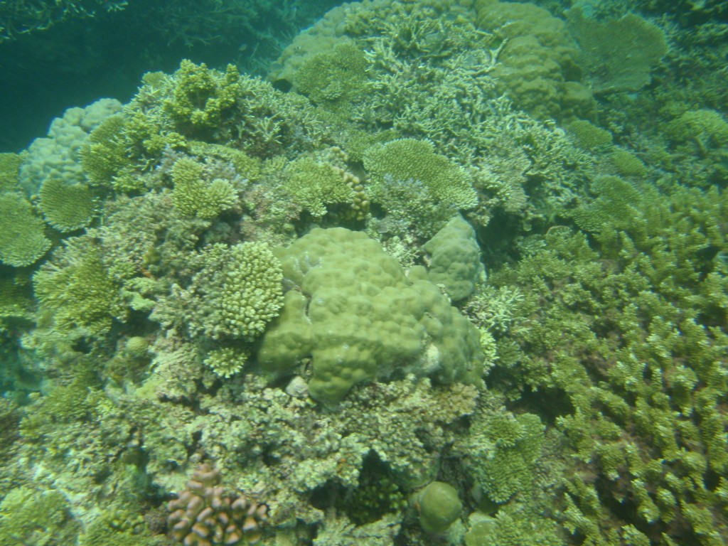 sm_P9023776.JPG
