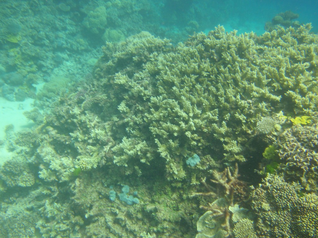 sm_P9023825.JPG