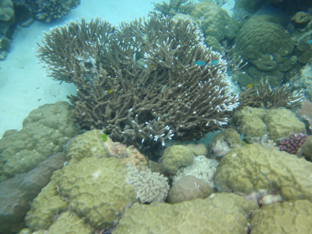 sm_P9023915.JPG