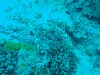 sm_AR-P9023809.JPG