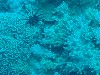 sm_AR-P9023812.JPG