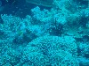 sm_AR-P9023814.JPG