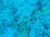 sm_AR-P9023821.JPG