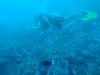 sm_AR-P9023826.JPG