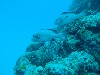 sm_AR-P9023835.JPG