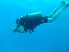 sm_AR-P9023854.JPG