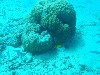 sm_AR-P9023855.JPG