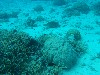sm_AR-P9023866.JPG