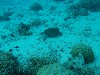 sm_AR-P9023867.JPG