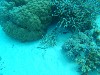 sm_AR-P9023871.JPG