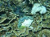 sm_AR-P9023886.JPG