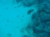 sm_AR-P9023894.JPG