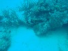 sm_AR-P9023896.JPG